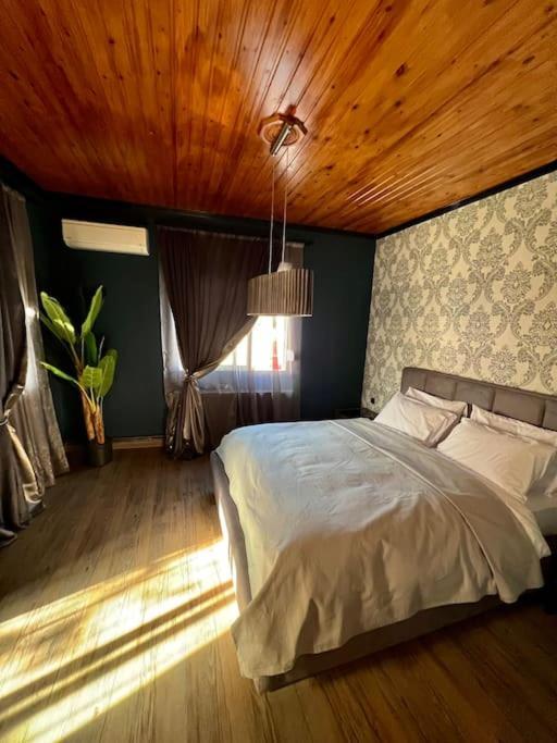 Lampsakou Suites 2-Bedroom House In โวโลส ภายนอก รูปภาพ